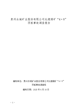 貴州水城礦業(yè)股份有限公司比德煤礦“4·8”頂板事故調(diào)查報告