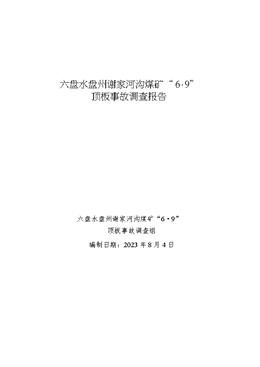 六盤水盤州謝家河溝煤礦“6·9”頂板事故調(diào)查報告