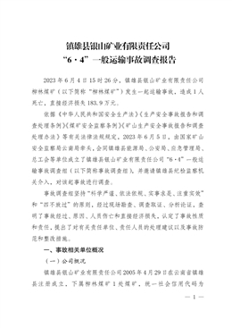 鎮(zhèn)雄縣銀山礦業(yè)有限責(zé)任公司“6·4”一般運輸事故調(diào)查報告