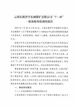 云南東源羅平東城煤礦有限公司“7·30”一般頂板事故調(diào)查報告