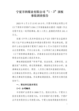 寧夏羊四煤業有限公司“1·3”頂板事故調查報告