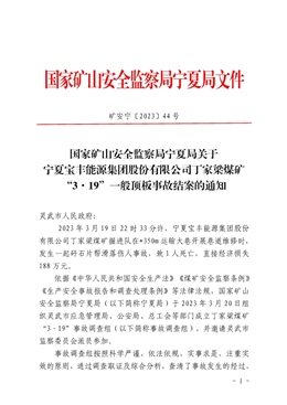寧夏寶豐能源集團股份有限公司丁家梁煤礦“3·19”一般頂板事故調查報告