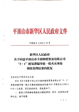 平頂山市豐源祥物資貿易有限公司“3·1”液氧泄漏導致一般火災事故調查報告