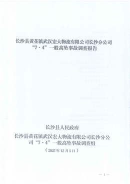 長沙縣黃花鎮(zhèn)武漢宏大物流有限公司長沙分公司“7·4”一般高墜事故調(diào)查報(bào)告