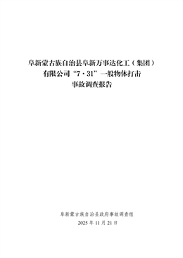 阜新蒙古族自治縣阜新萬事達(dá)化工（集團(tuán)）有限公司“7·31”一般物體打擊事故調(diào)查報(bào)告