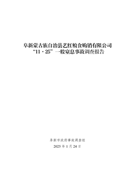 阜新蒙古族自治縣藝紅糧食購(gòu)銷有限公司“11·25”一般窒息事故調(diào)查報(bào)告