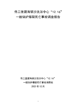 佟二堡碧海銀沙洗浴中心“12.16”一般鍋爐爆裂死亡事故調(diào)查報告