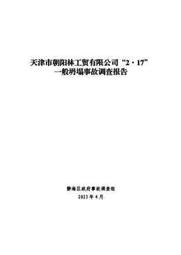 天津市朝陽(yáng)林工貿(mào)有限公司“2·17”一般坍塌事故調(diào)查報(bào)告