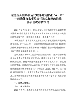 東莞橋頭佳鵬貨運(yùn)代理部卸貨作業(yè)“6·16”一般物體打擊事故責(zé)任追究和整改措施落實(shí)情況評(píng)估報(bào)告