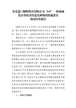 東莞道滘穎暉模具有限公司“6?5”一般機械傷害事故責任追究和整改措施落實情況評估報告