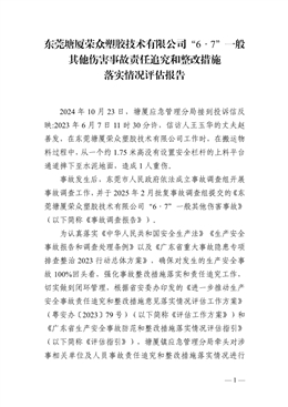 東莞塘廈榮眾塑膠技術(shù)有限公司“6·7”一般其他傷害事故責(zé)任追究和整改措施落實情況評估報告
