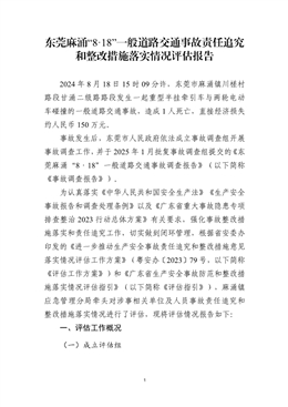 東莞麻涌“8·18”一般道路交通事故調(diào)查報告責(zé)任追究和整改措施落實情況評估報告