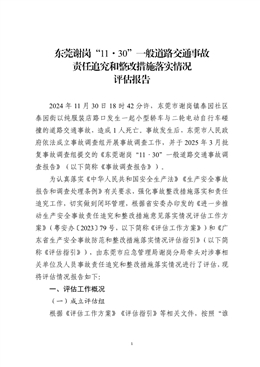 東莞謝崗“11·30”一般道路交通事故責(zé)任追究和整改措施落實情況評估報告