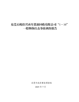 東莞石碣佳興再生資源回收有限公司“1·10”一般物體打擊事故調查報告