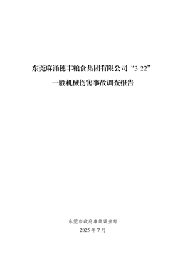 東莞麻涌穗豐糧食集團有限公司“3·22”一般機械傷害事故調查報告