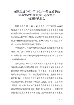 東城街道2022年“2.22”一般交通事故防范整改措施和責任追究落實情況評估報告