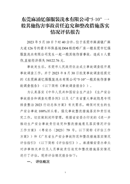 東莞麻涌憶強服裝洗水有限公司“5·10” 一般其他傷害事故責任追究和整改措施落實情況評估報告