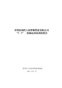 奉賢杭州灣上海夢雅塑業有限公司“7.7”一般觸電事故調查報告