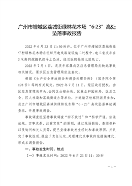 廣州市增城區荔城街綠林花木場“6·23”高處墜落事故報告