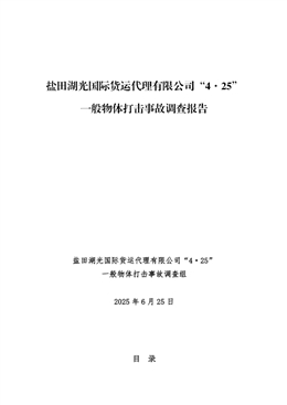 鹽田湖光國(guó)際貨運(yùn)代理有限公司“4·25”一般物體打擊事故調(diào)查報(bào)告