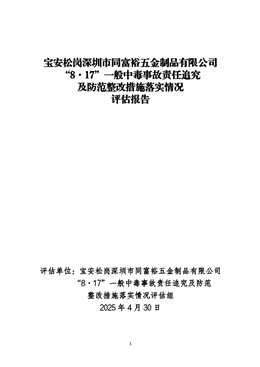 寶安松崗深圳市同富裕五金制品有限公司“8·17”一般中毒事故責(zé)任追究及防范整改措施落實情況評估報告