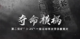 淮河能源控股集團有限責任公司潘二煤礦“3?25”一般運輸事故警示教育片