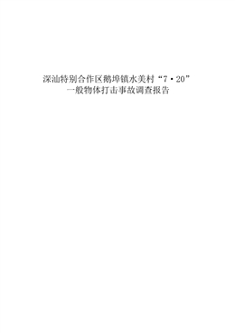 深汕特別合作區鵝埠鎮水美村“7·20”一般物體打擊事故調查報告