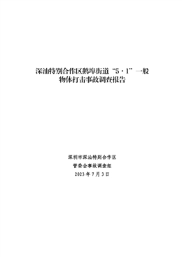 深汕特別合作區鵝埠街道“5·1”一般物體打擊事故調查報告