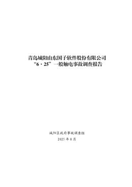 青島城陽山東國子軟件股份有限公司“6·25”一般觸電事故調查報告