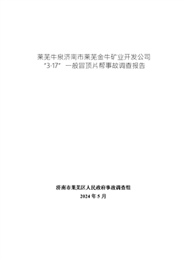 萊蕪牛泉濟南市萊蕪金牛礦業開發公司“3·17”一般冒頂片幫事故調查報告