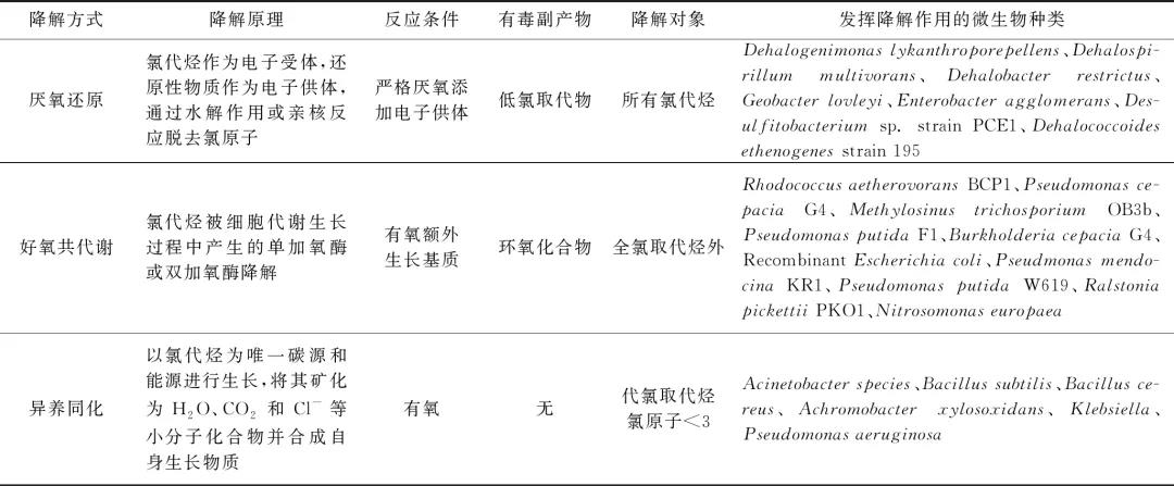 b3.jpg