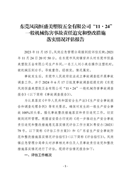 東莞鳳崗恒盛美塑膠五金有限公司“11·24”一般機械傷害事故責任追究和整改措施落實情況評估報告