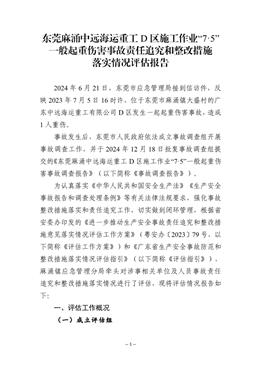 東莞麻涌中遠海運重工D區施工作業“7·5”一般起重傷害事故責任追究和整改措施落實情況評估報告