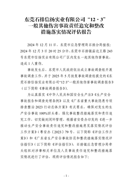 東莞石排信揚實業有限公司“12·3”一般其他傷害事故責任追究和整改措施落實情況評估報告