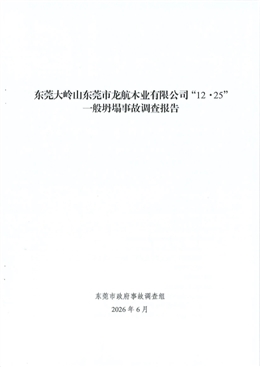 東莞大嶺山東莞市龍航木業有限公司“12·25”一般坍塌事故調查報告