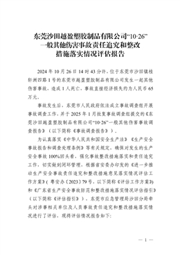 東莞沙田越盈塑膠制品有限公司“10·26”一般其他傷害事故責任追究和整改措施落實情況評估報告