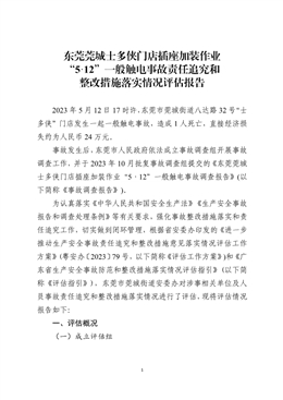 東莞莞城士多俠門店插座加裝作業“5·12”一般觸電事故責任追究和整改措施落實情況評估報告