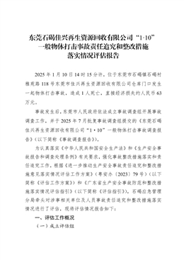 東莞石碣佳興再生資源回收有限公司“1?10”一般物體打擊事故責任追究和整改措施落實情況評估報告