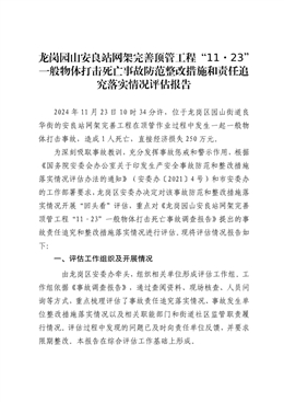 龍崗園山“11·23”一般物體打擊死亡事故調(diào)查報(bào)告防范整改措施和責(zé)任追究落實(shí)情況評(píng)估報(bào)告