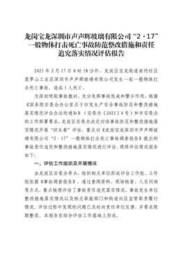 龍崗寶龍“2·17”一般物體打擊死亡事故防范整改措施和責任追究落實情況評估報告