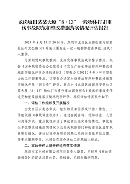 龍崗區坂田“8·13”物體打擊重傷事故防范和整改措施落實情況評估報告