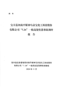 寶豐縣河南平煤神馬京寶化工科技股份有限公司“7.26”一般高處墜落事故調(diào)查報(bào)告