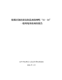 殷都區(qū)銅冶鎮(zhèn)安陽(yáng)縣冰陽(yáng)網(wǎng)吧“11·14”一般坍塌事故調(diào)查報(bào)告