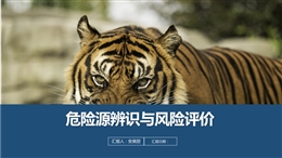 危險有害因素分類辨識與風險評價