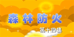 安全麻辣燙:森林防火