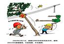 電力線路旁禁止砍樹