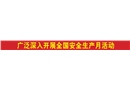 廣泛深入開展全國安全生產月活動
