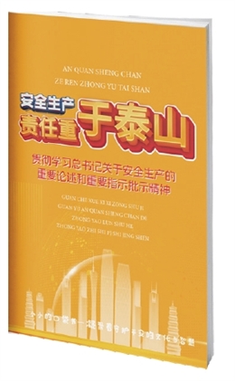 貫徹學(xué)習(xí)總書記關(guān)于安全生產(chǎn)的重要論述和重要指示批示精神